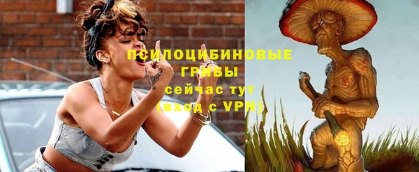 кокс Корсаков