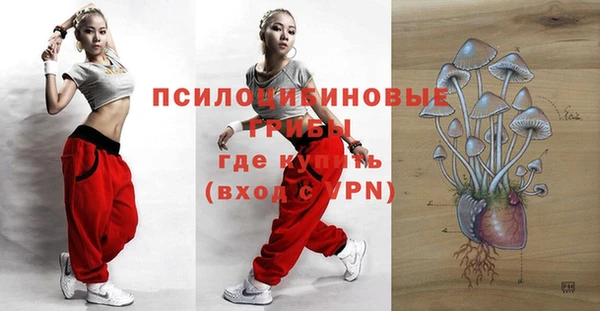 кокс Корсаков