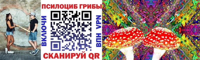Галлюциногенные грибы Magic Shrooms  Купить  Донской 